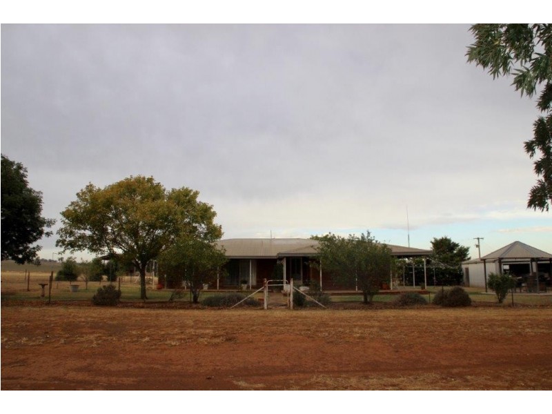 Suntop NSW 2820