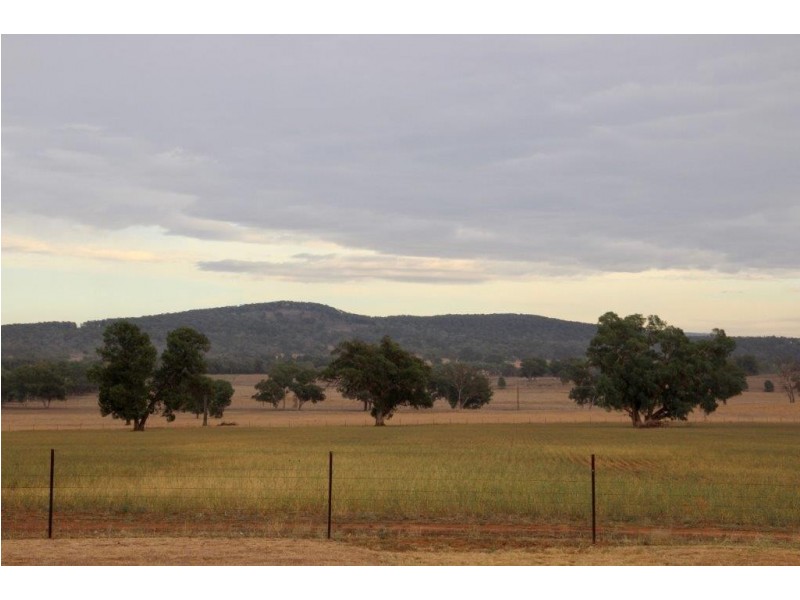 Suntop NSW 2820