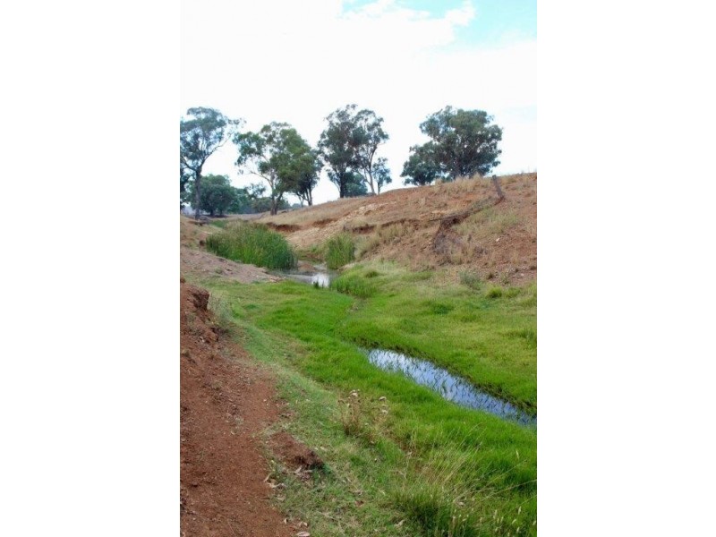 Suntop NSW 2820