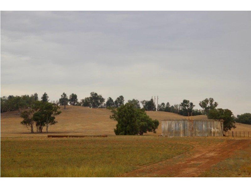 Suntop NSW 2820