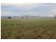 Suntop NSW 2820