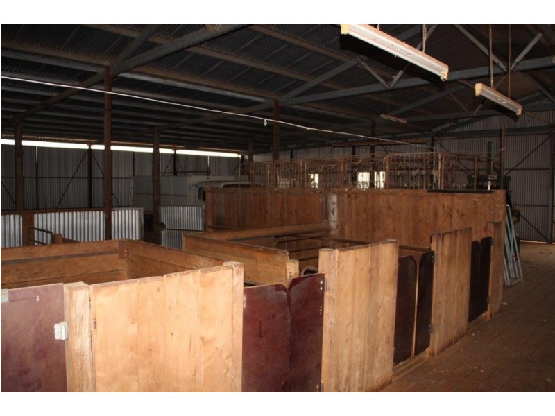 Suntop NSW 2820