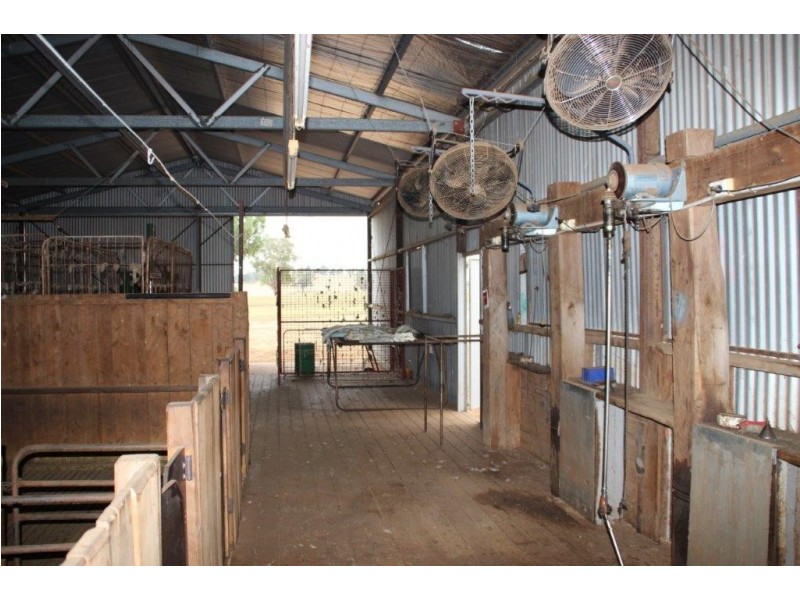 Suntop NSW 2820