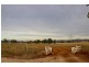 Suntop NSW 2820