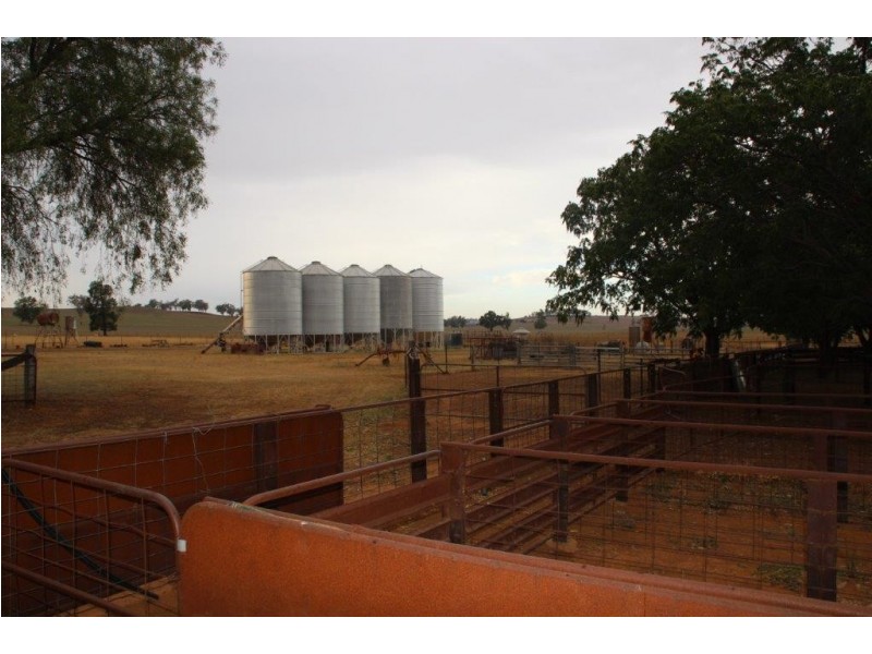 Suntop NSW 2820