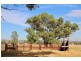 Suntop NSW 2820