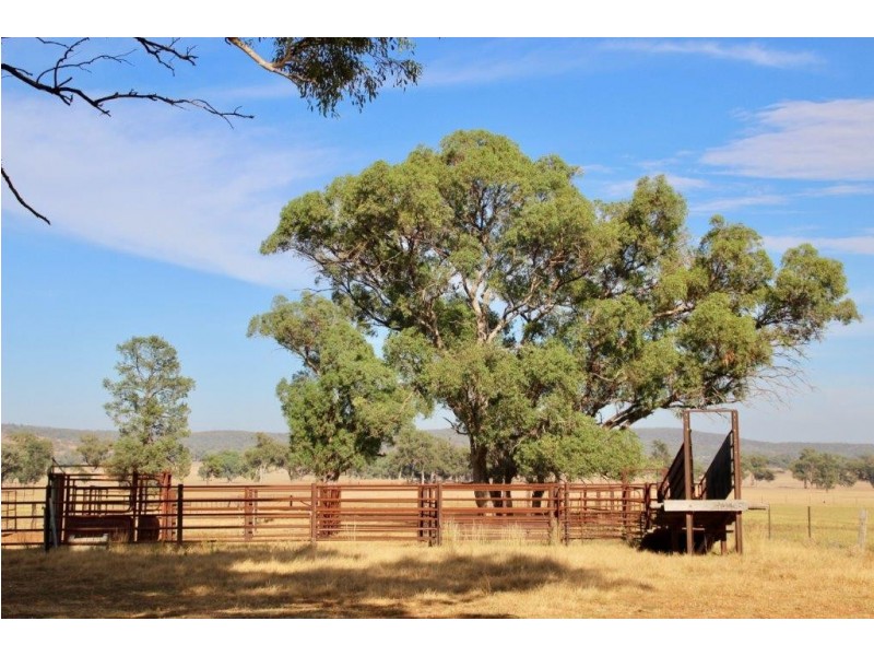 Suntop NSW 2820