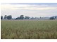 Suntop NSW 2820