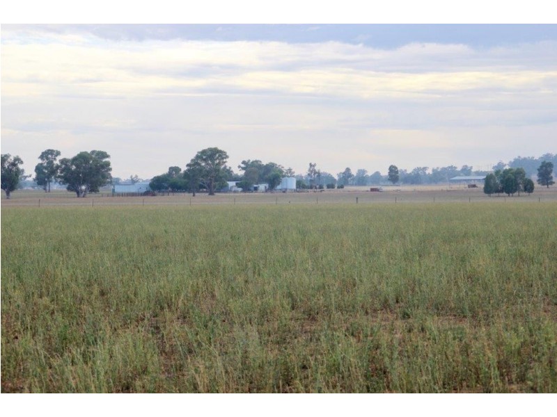 Suntop NSW 2820