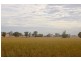 Suntop NSW 2820
