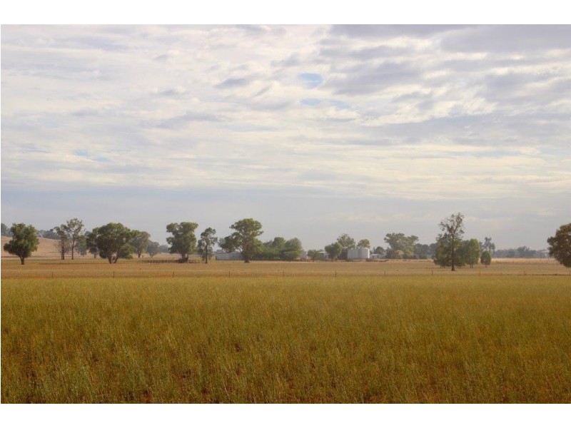 Suntop NSW 2820