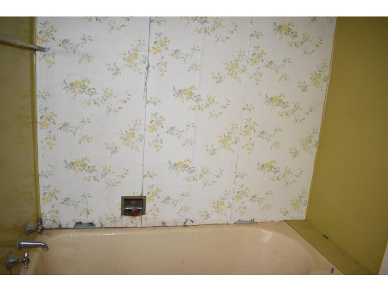 117 GISBORNE STREET, Wellington NSW 2820