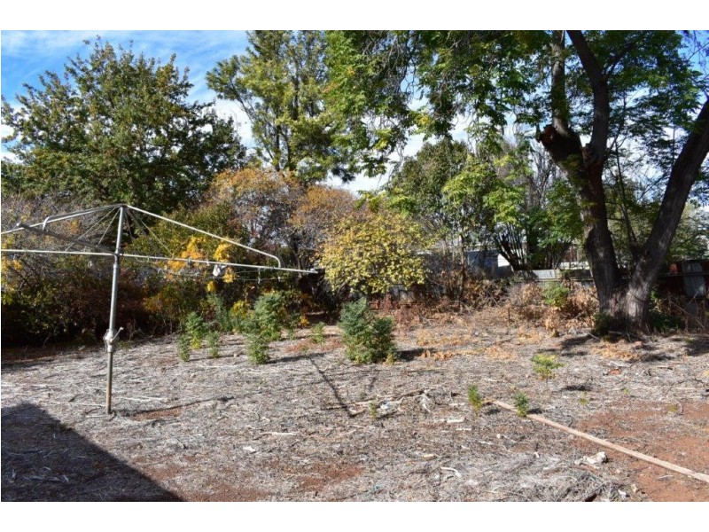 117 GISBORNE STREET, Wellington NSW 2820