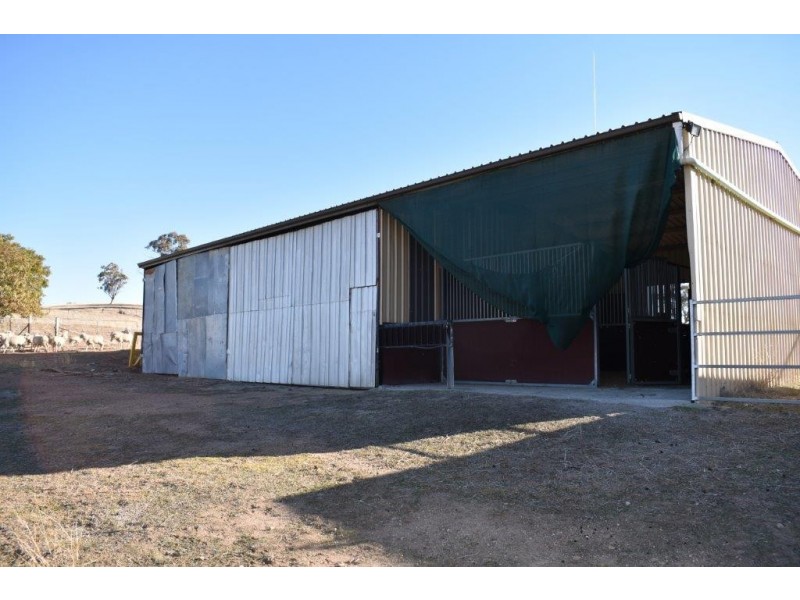 51 Canobla Road, Stuart Town NSW 2820