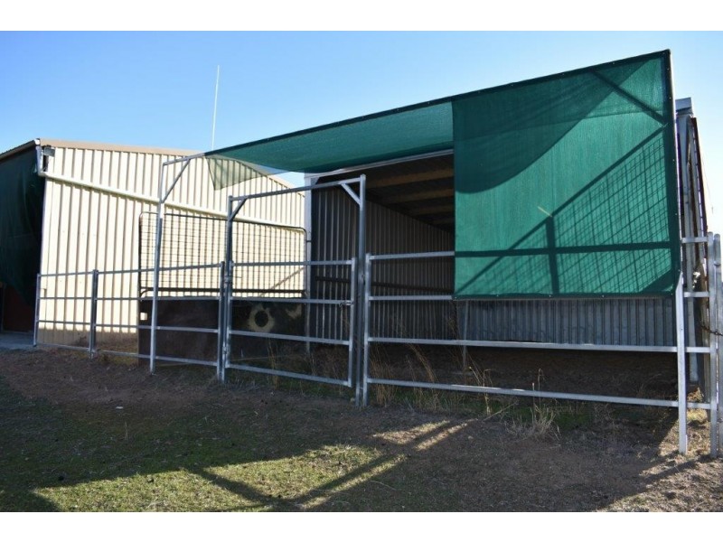 51 Canobla Road, Stuart Town NSW 2820