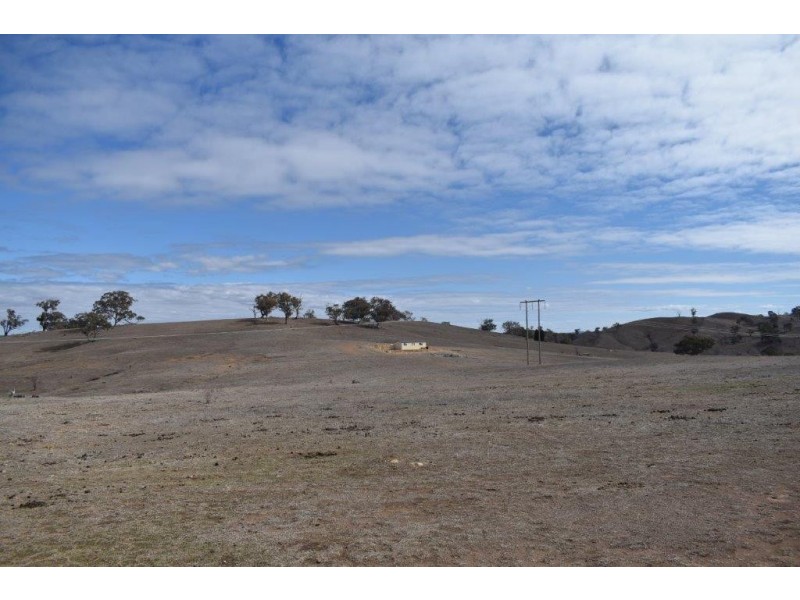 176 Tarrawingee Road MUMBIL via, Wellington NSW 2820