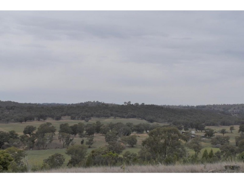 334 Tara Road, Mumbil NSW 2820