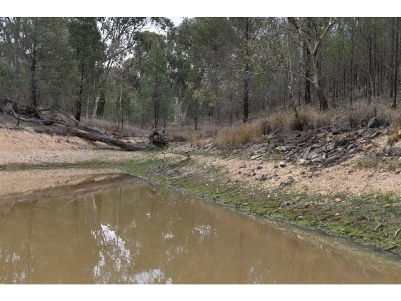 334 Tara Road, Mumbil NSW 2820