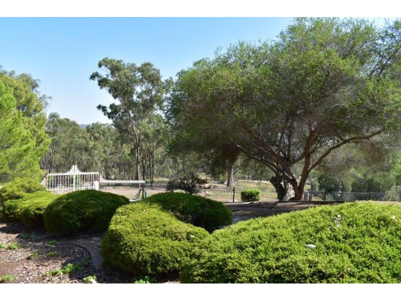 242 Fashions Mount Road, Mumbil NSW 2820