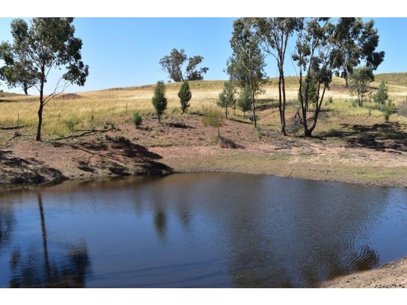 621 Eulalie Lane Walmer via, Wellington NSW 2820