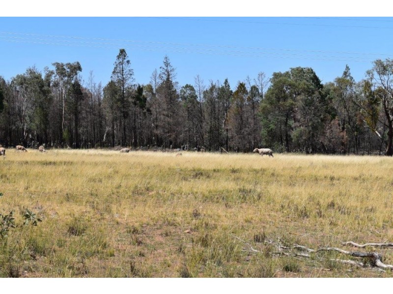 621 Eulalie Lane Walmer via, Wellington NSW 2820