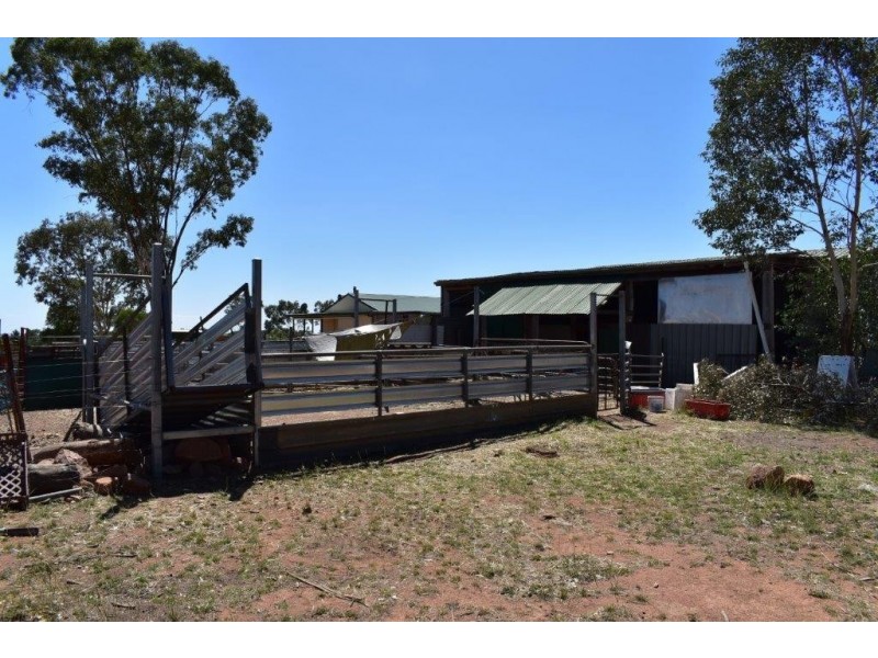 621 Eulalie Lane Walmer via, Wellington NSW 2820