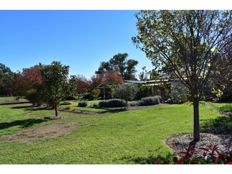 33 King Street Yeoval via, Wellington NSW 2820