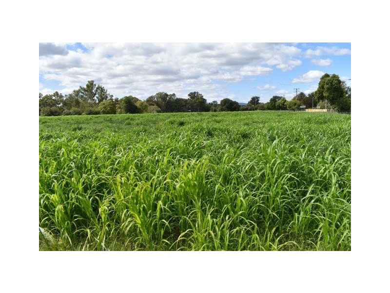 44 Bushrangers Creek Road, Wellington NSW 2820