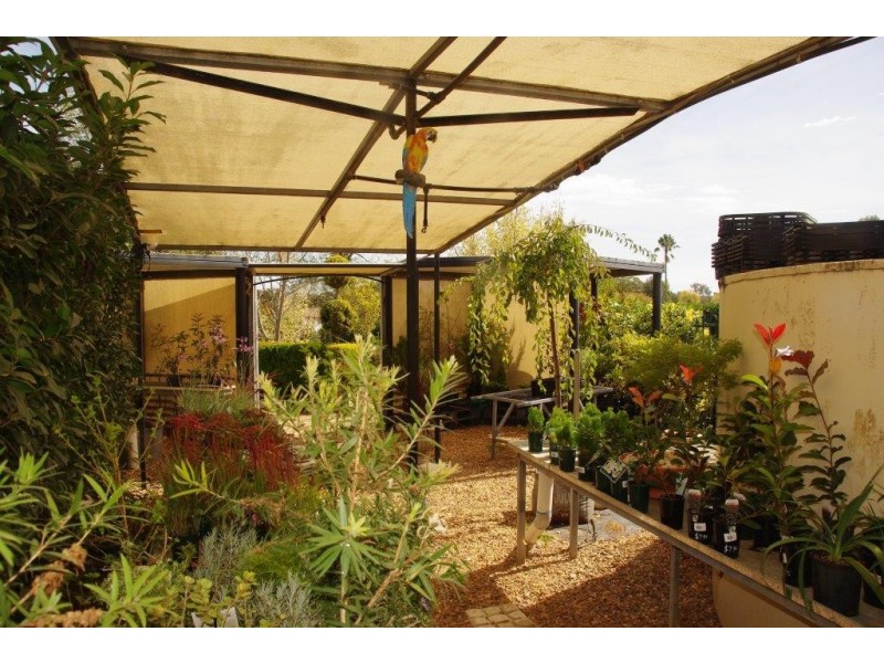 23 Forbes Street Yeoval via, Wellington NSW 2820