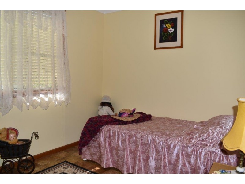 242 Fashions Mount Road, Mumbil NSW 2820
