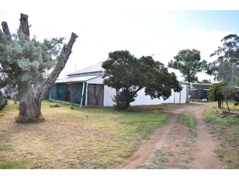 40 Parkes Street, Wellington NSW 2820