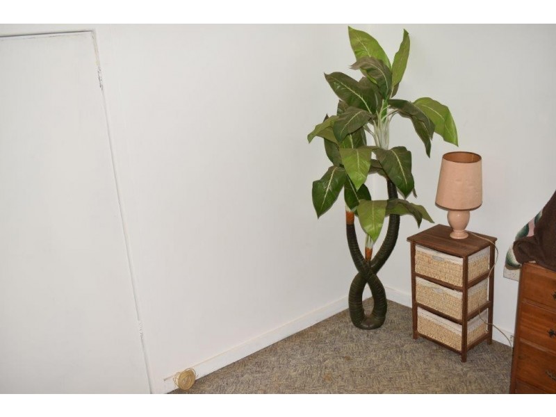 40 Parkes Street, Wellington NSW 2820