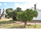 40 Parkes Street, Wellington NSW 2820