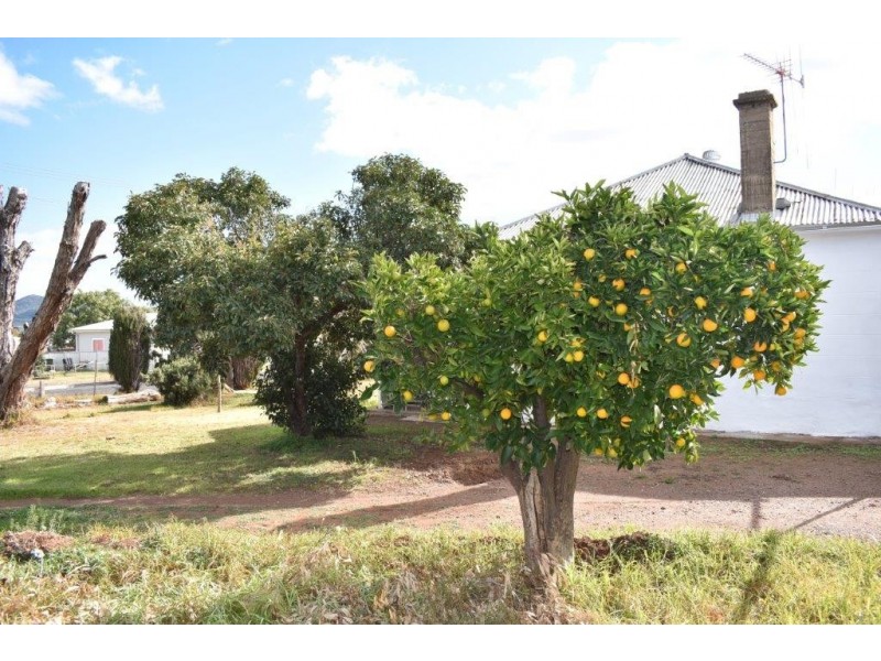 40 Parkes Street, Wellington NSW 2820