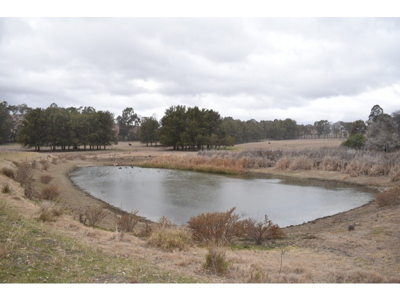 34 Katella Place, Mumbil NSW 2820