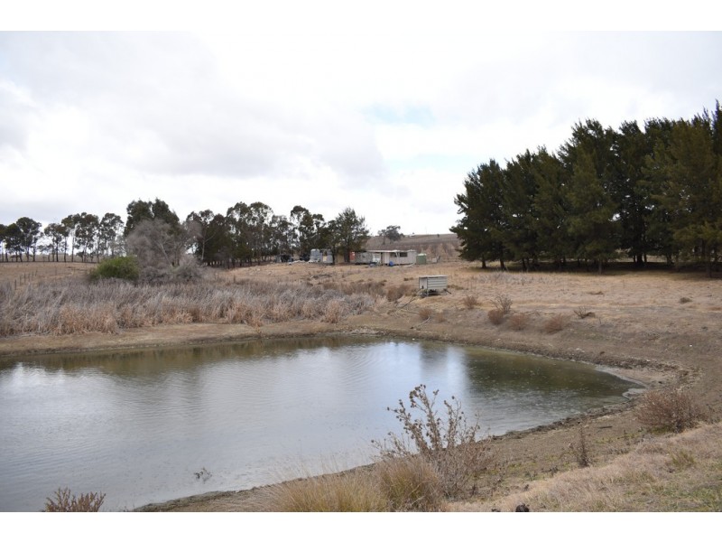 34 Katella Place, Mumbil NSW 2820