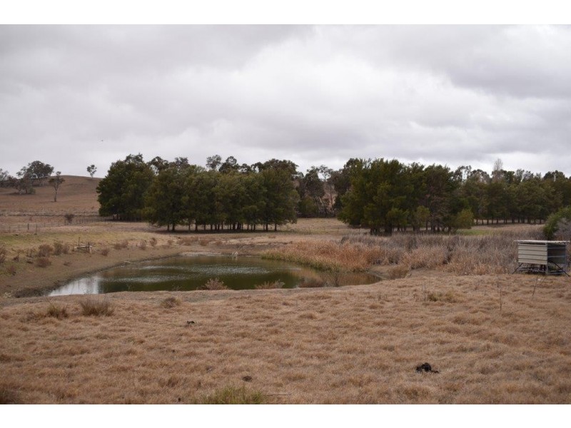 34 Katella Place, Mumbil NSW 2820