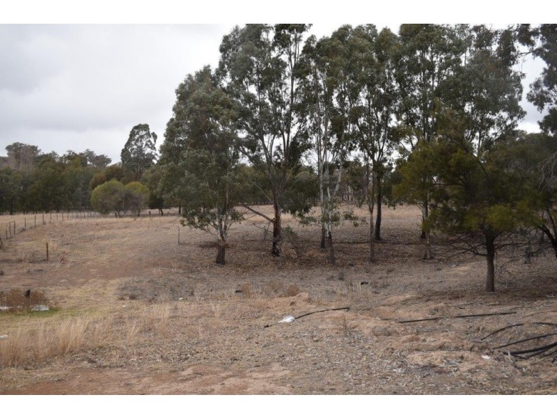 34 Katella Place, Mumbil NSW 2820