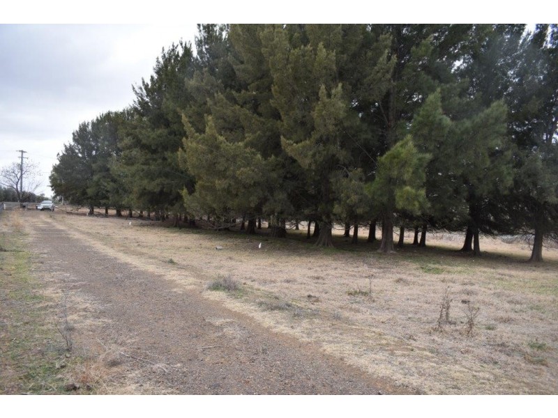 34 Katella Place, Mumbil NSW 2820