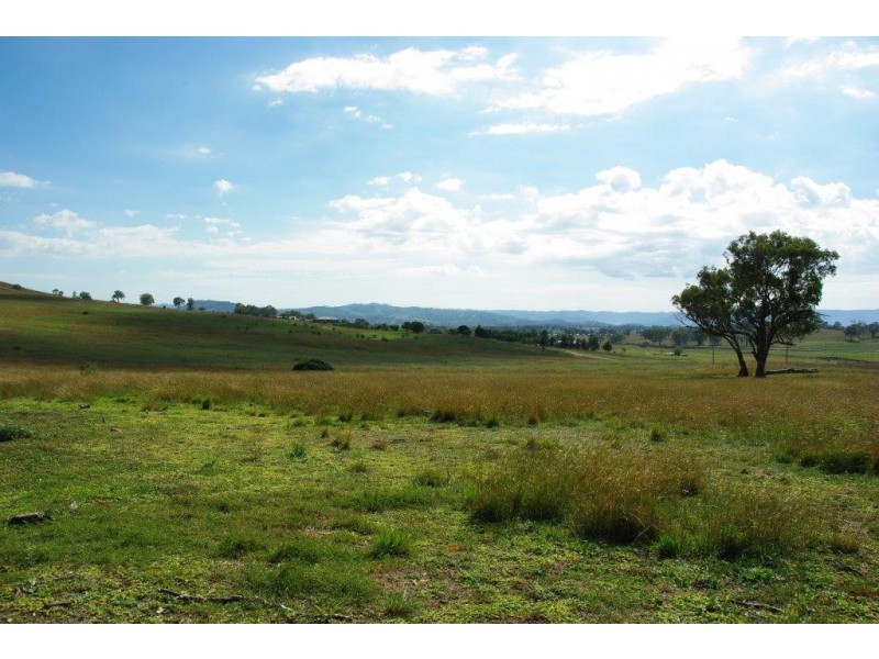 138 Tarrawingee Road, Mumbil NSW 2820