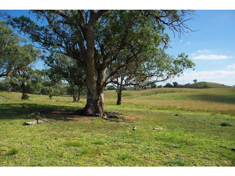 138 Tarrawingee Road Mumbil via, Wellington NSW 2820