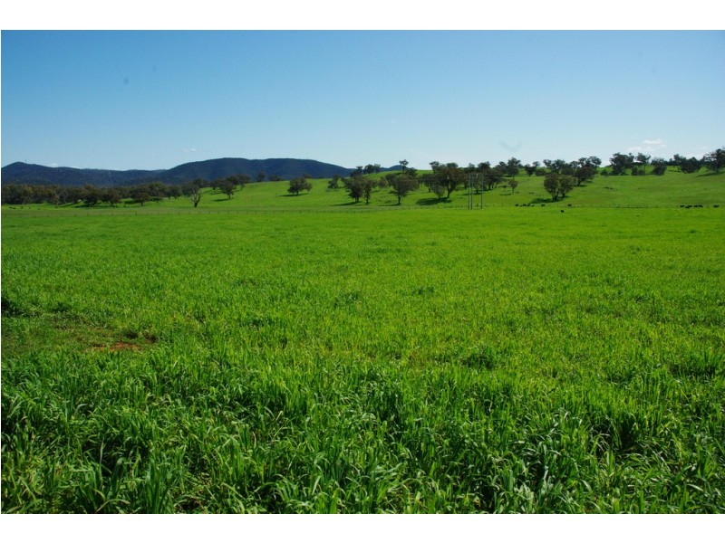 6945 GOOLMA ROAD Wuuluman via, Wellington NSW 2820