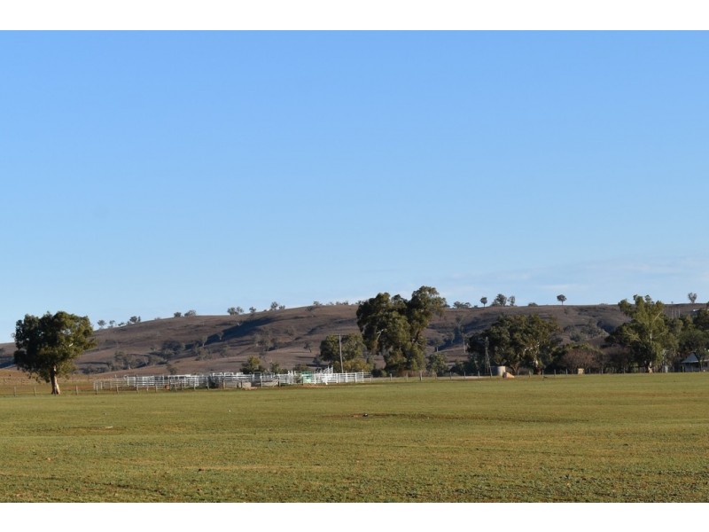 6945 GOOLMA ROAD Wuuluman via, Wellington NSW 2820