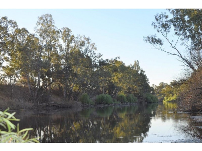 6945 GOOLMA ROAD Wuuluman via, Wellington NSW 2820