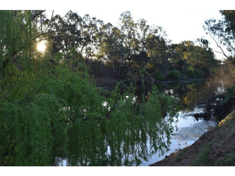 6945 GOOLMA ROAD Wuuluman via, Wellington NSW 2820