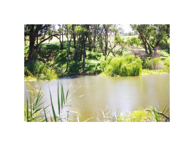 Wellington NSW 2820