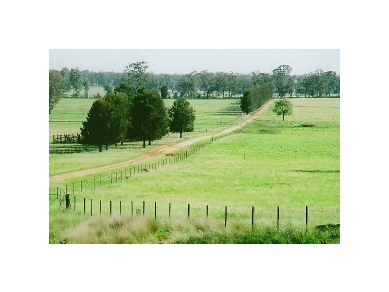 574 Millpulling Road, Balladoran NSW 2831