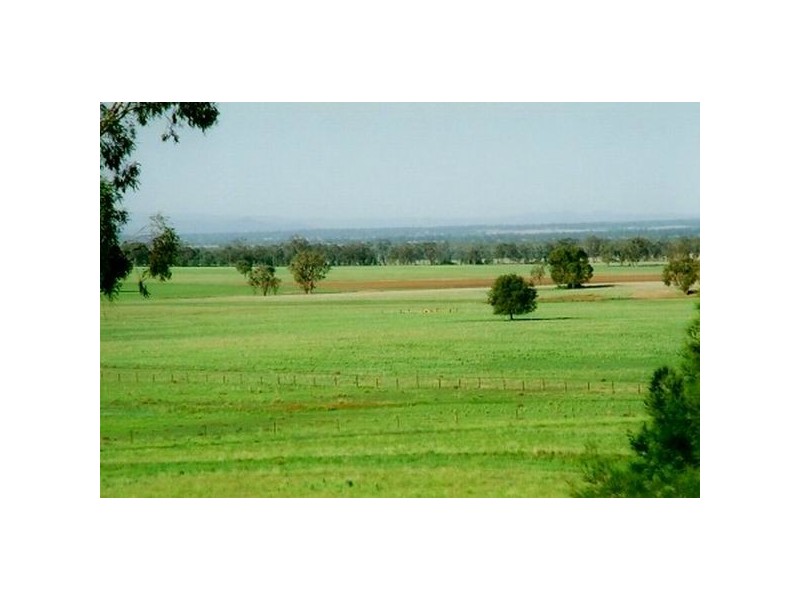 574 Millpulling Road, Balladoran NSW 2831