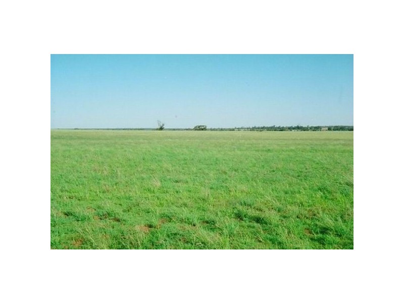 574 Millpulling Road, Balladoran NSW 2831