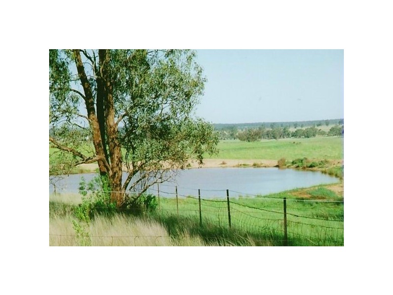 574 Millpulling Road, Balladoran NSW 2831